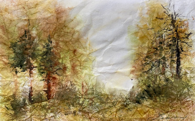 Lindamerry Udell- Forgotten Forest