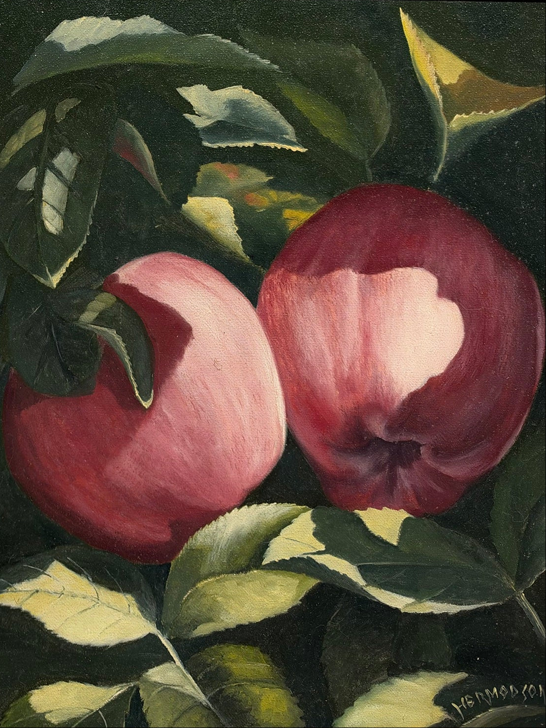Warren Hermodson - Apples