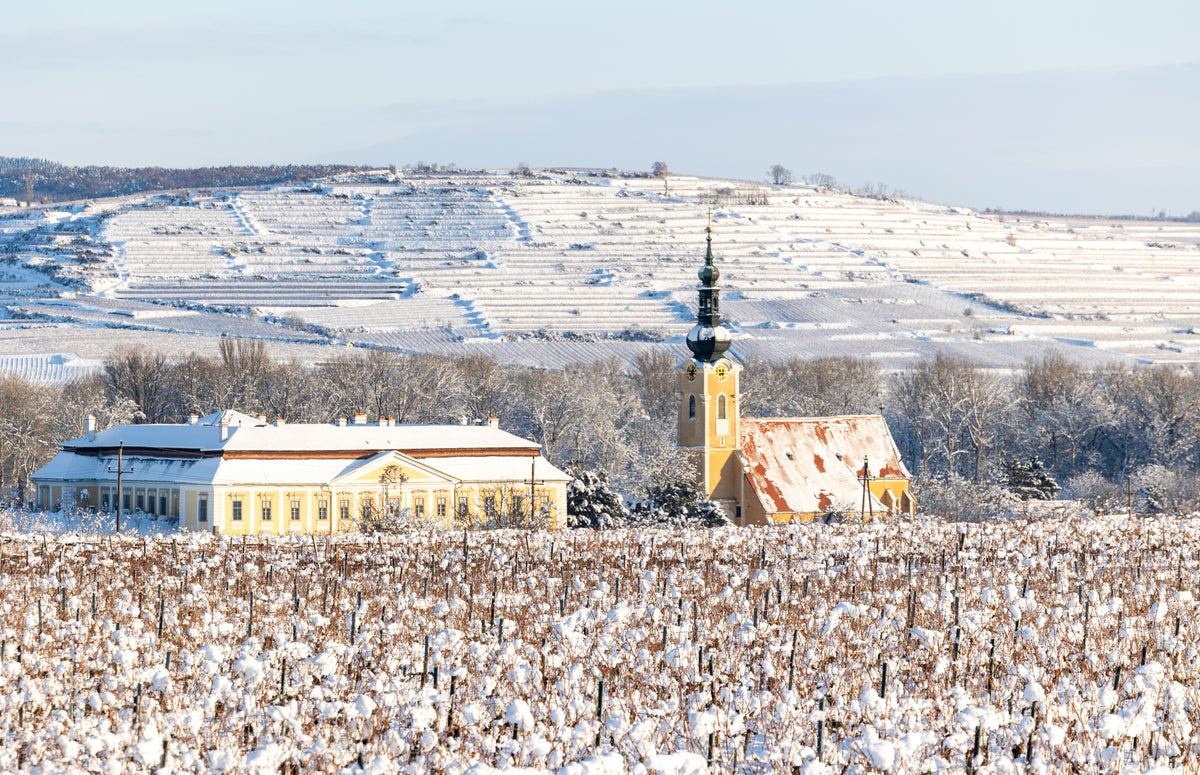 Austria Wine Tasting - Wednesday Oct. 28th 6:00PM Extremely Limited Tickets
