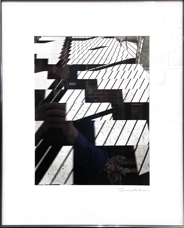 Bruce Warren - Flight of Descending Shadows