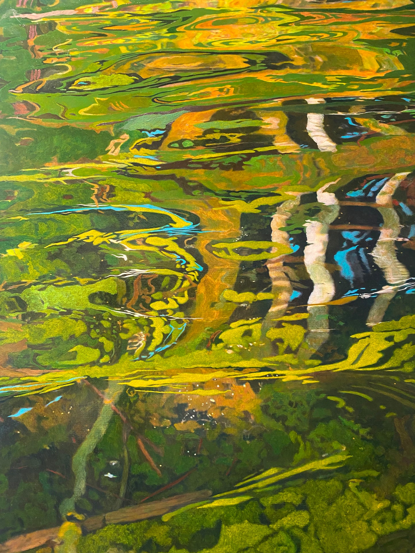 Tiit Raid - West Fox Lake Reflection 3