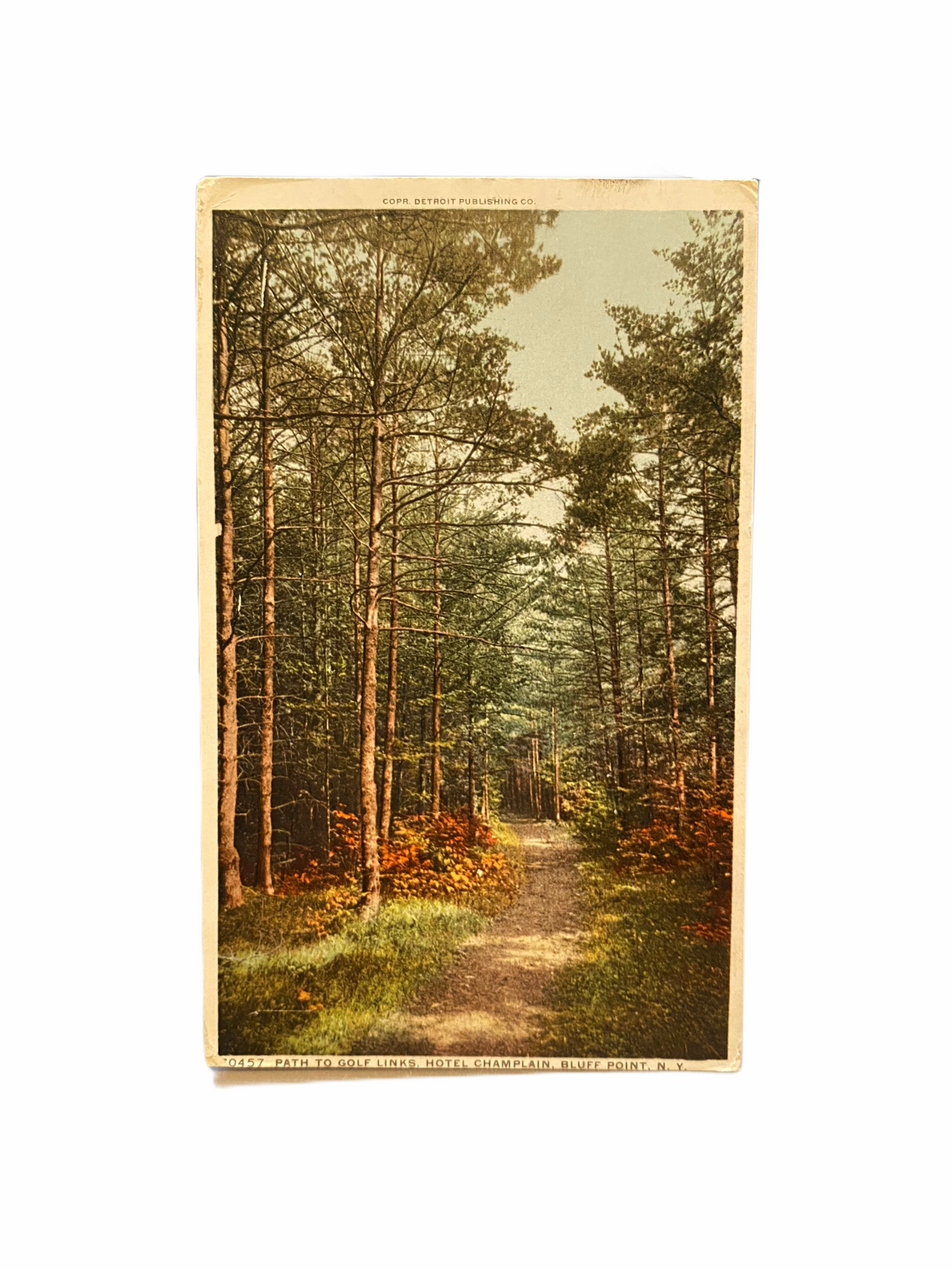 Path To Golf Links. Hotel Champlain, Bluff Point, N.Y. Postcard Sent Aug. 14 1912 by Alfred Henderson (Son of Peter Henderson)