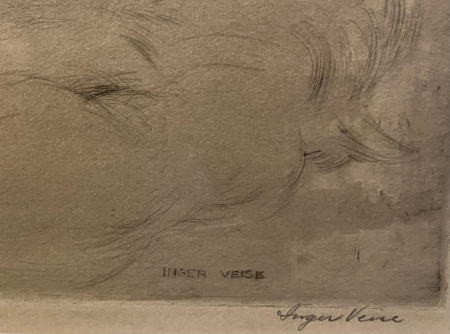 Wings of Many - Inger Veise
