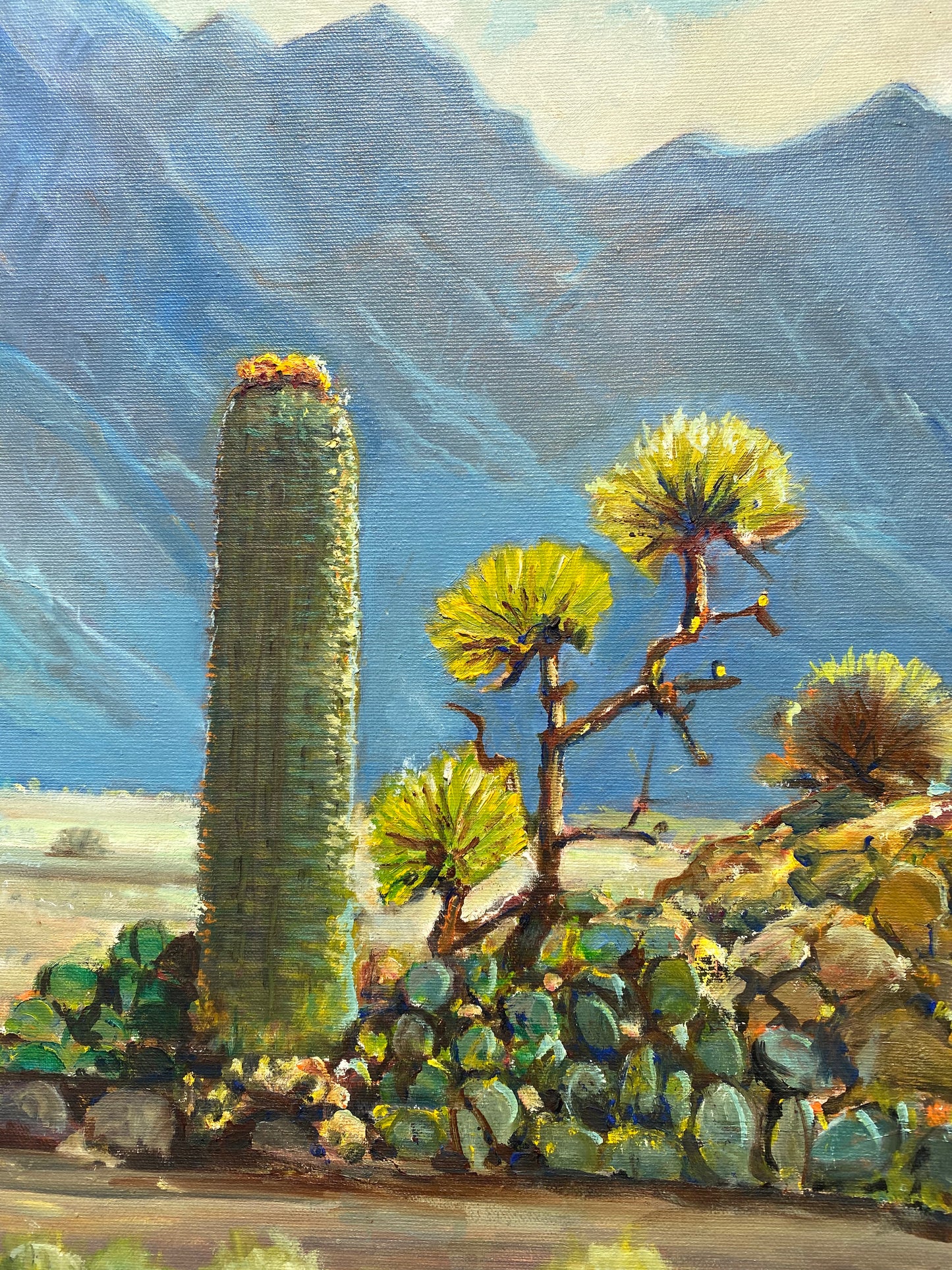 California Mountains - Unknown Artist