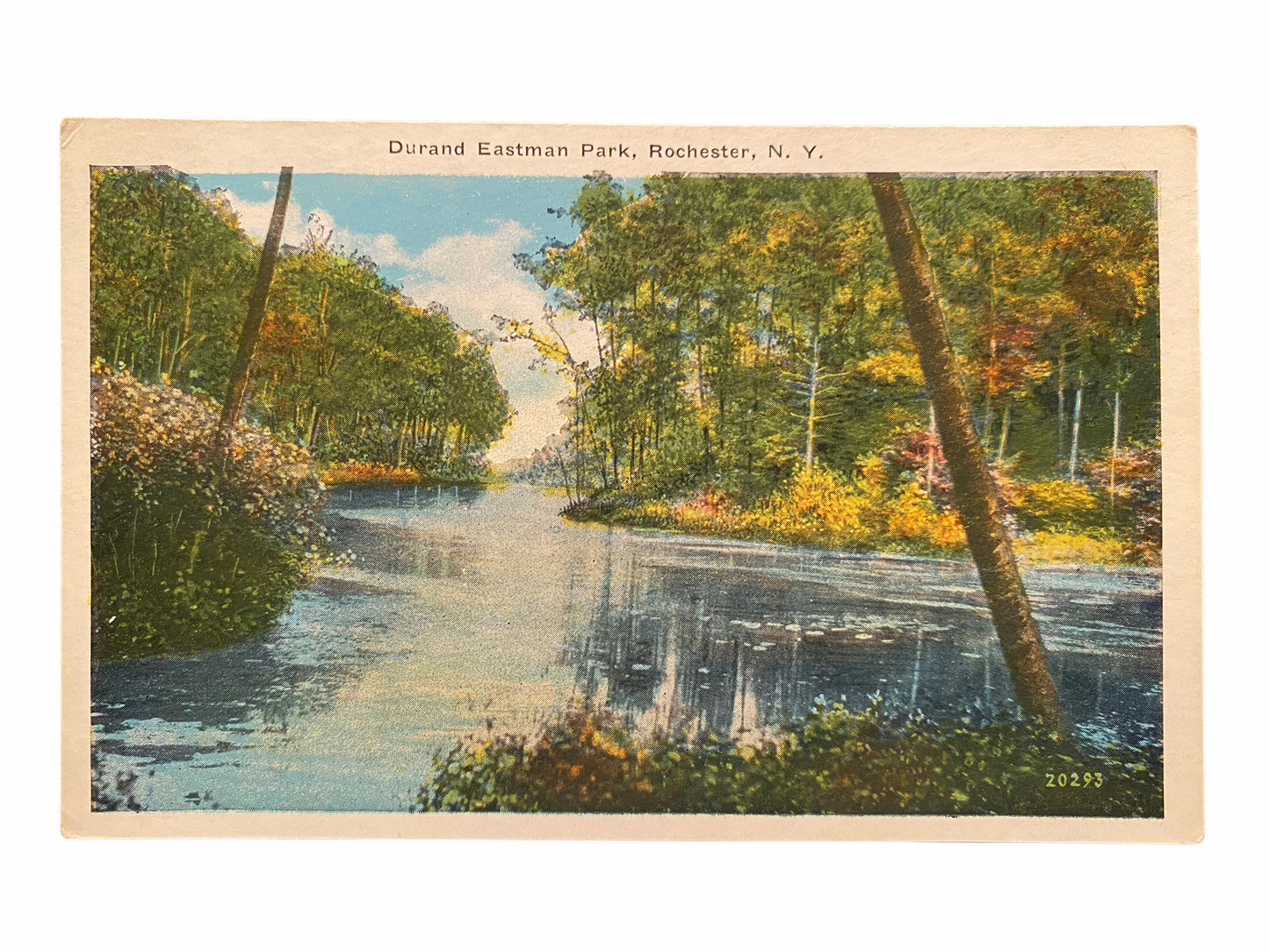 Durand Eastman Park, Rochester New York. Unused Postcard Circa 1915-1930