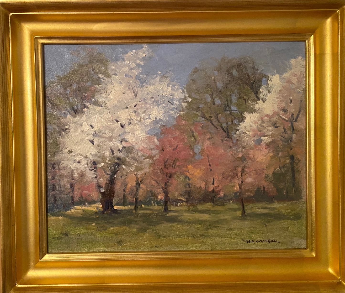 Cherry Blossoms in Branch Brook Park - Robert Waltsak