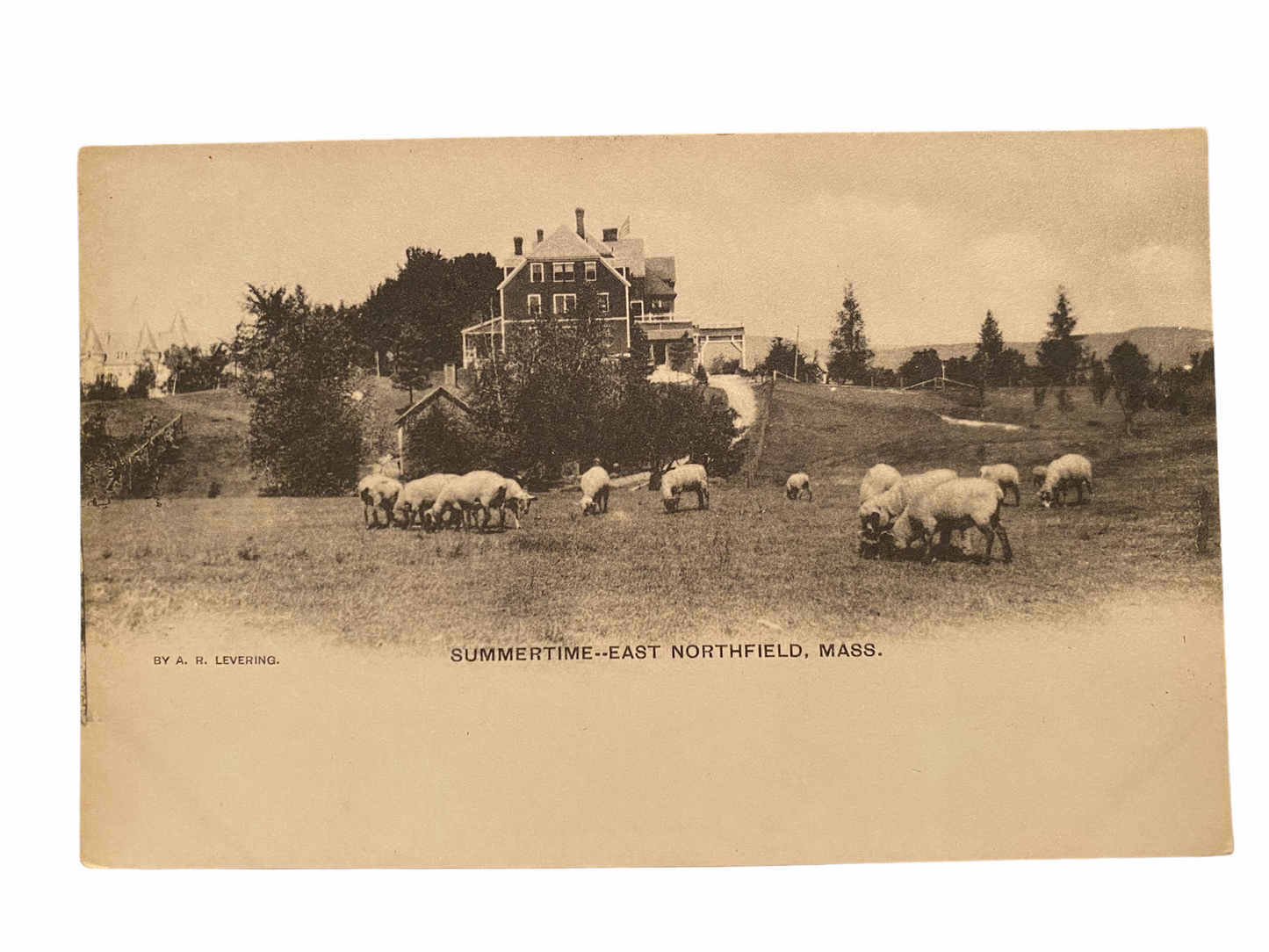 Summertime - East Northfield Massachusetts Unused Postcard Circa 1901-1907