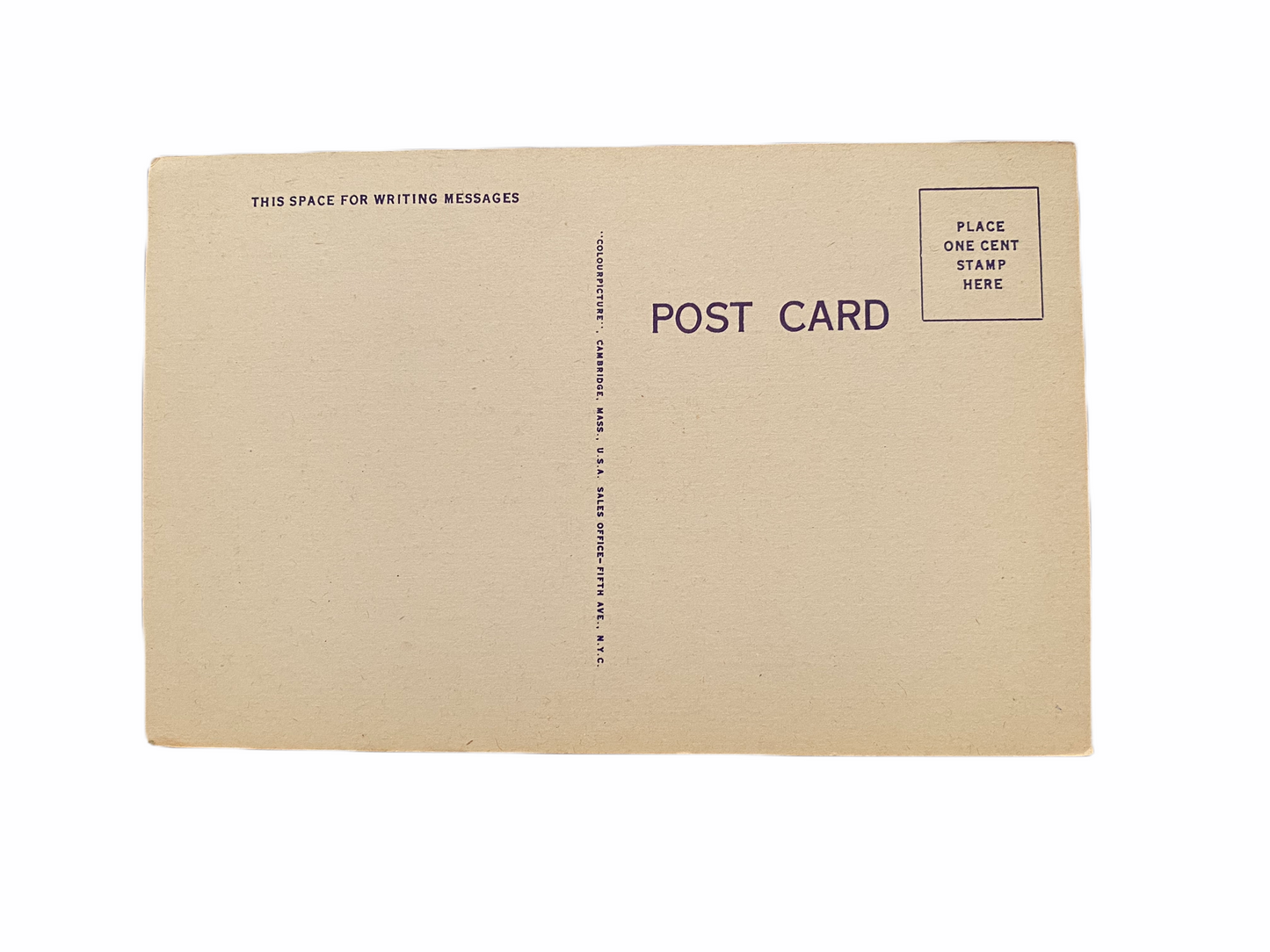 Pennsylvania Station. New York City Postcard Linen Era Unused