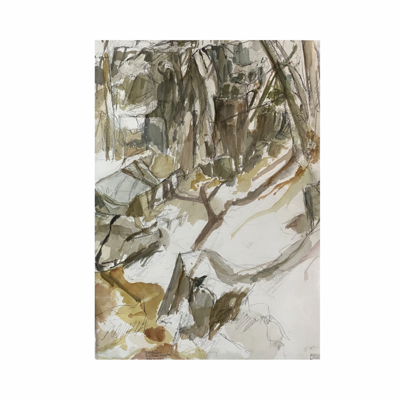 Barbara Shafer - Big Falls