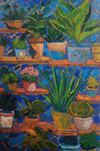 Aubrey Hogan - House Plants