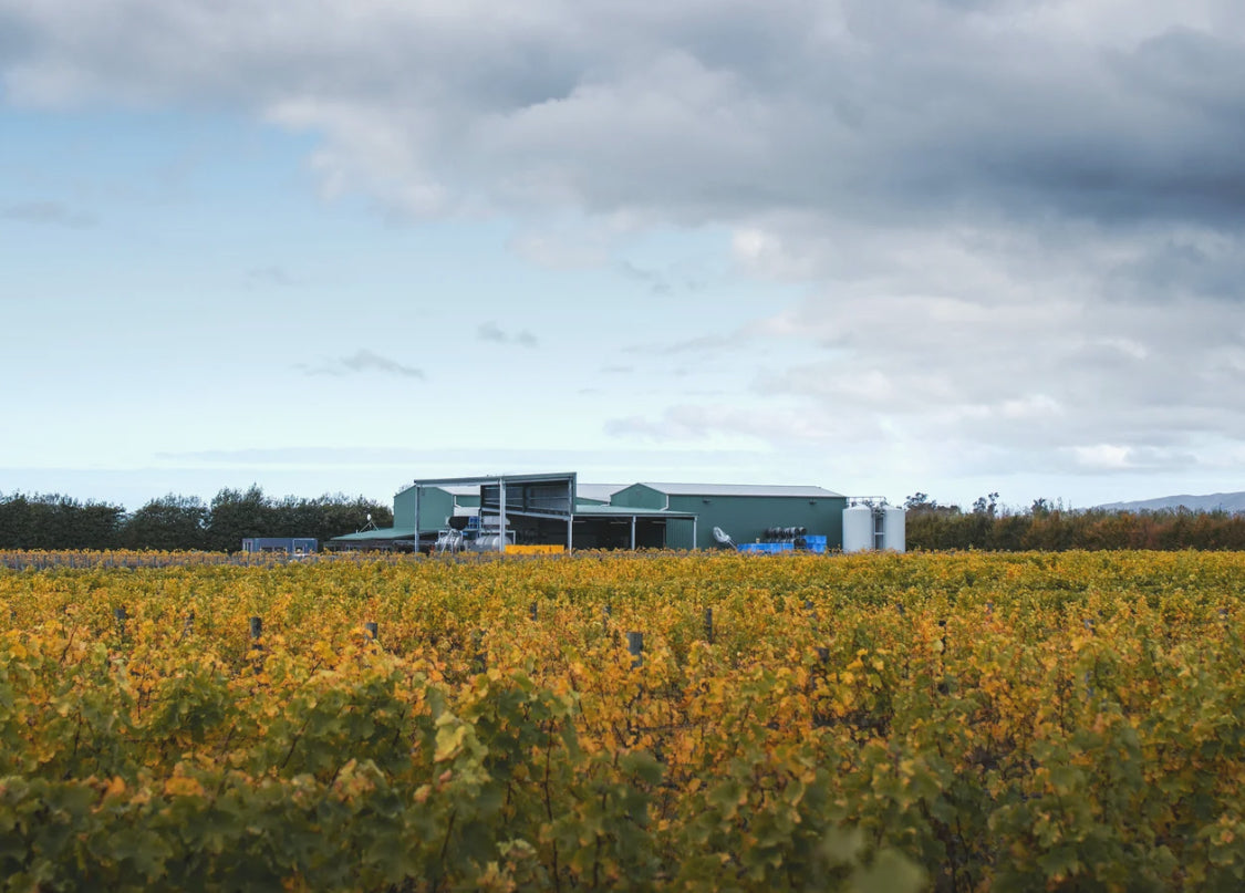 Rock Ferry New Zealand Tasting June 19th 5:30pm