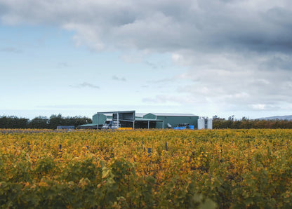 Rock Ferry New Zealand Tasting June 19th 5:30pm