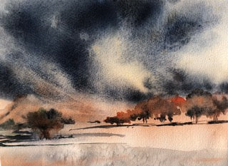 Lindamerry Udell-  Storms Coming