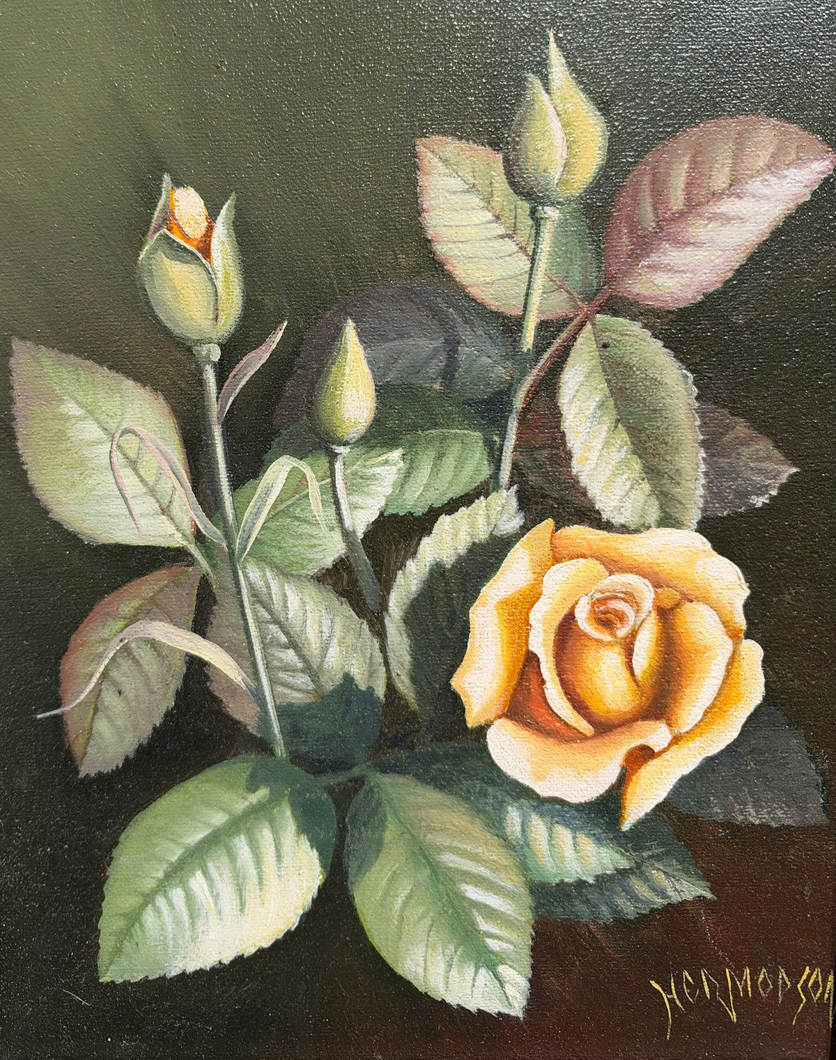Warren Hermodson - Blooming Florals