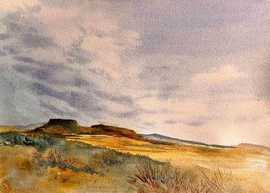 Lindamerry Udell- Mesa Magic