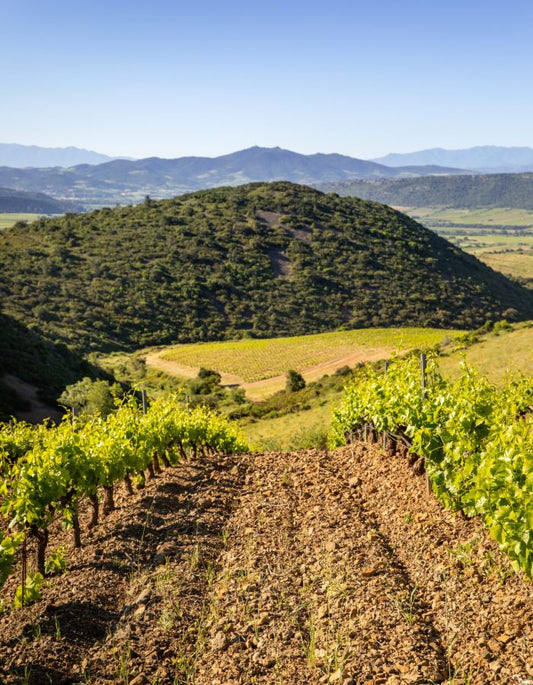 Southwest France Organic Tasting Wednesday Sept 24th 5:30pm