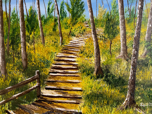 Sunlit Path - Daniel Ciampa