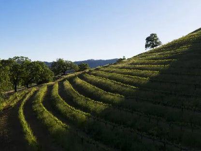 Chateau Montelena Winery Tasting Experience at 2 Roots (VERY LIMITED SEATING)