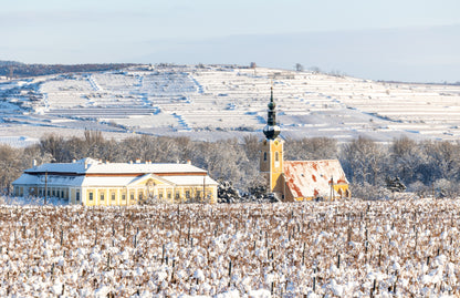 Austria Wine Tasting - Wednesday Oct. 28th 6:00PM Extremely Limited Tickets