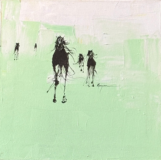 Terry Meyer-Valley Rides