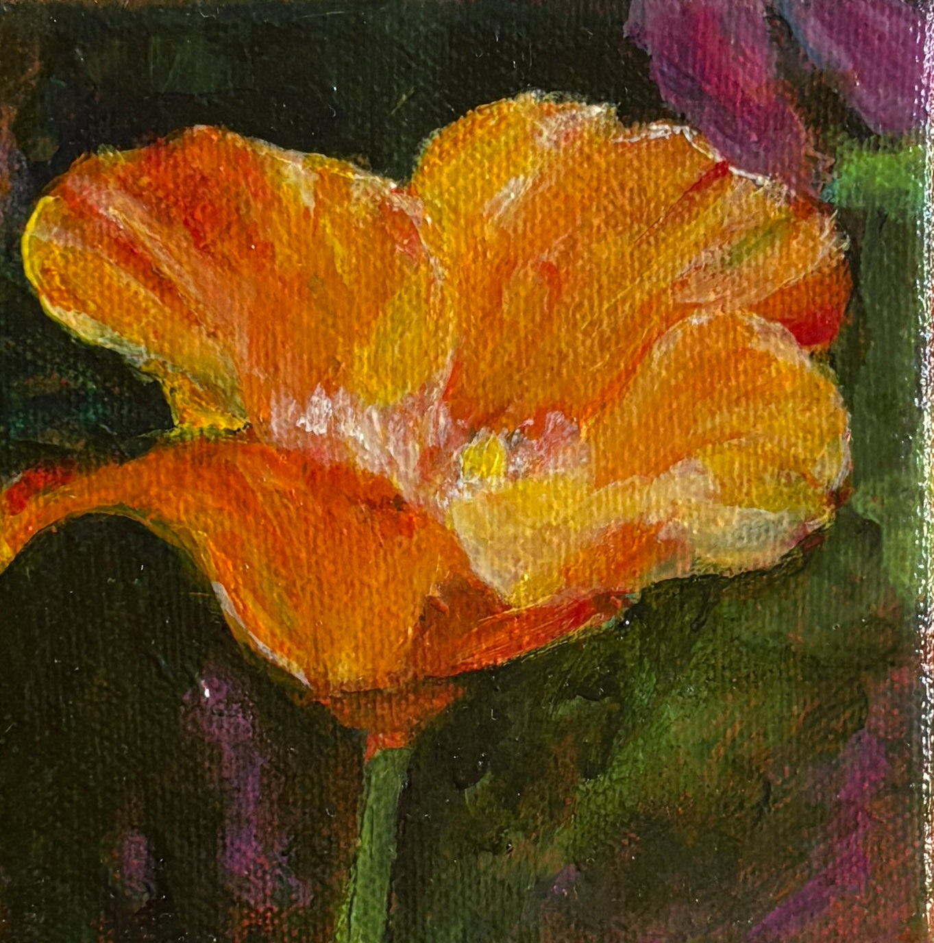 Helen Buck- California Poppy