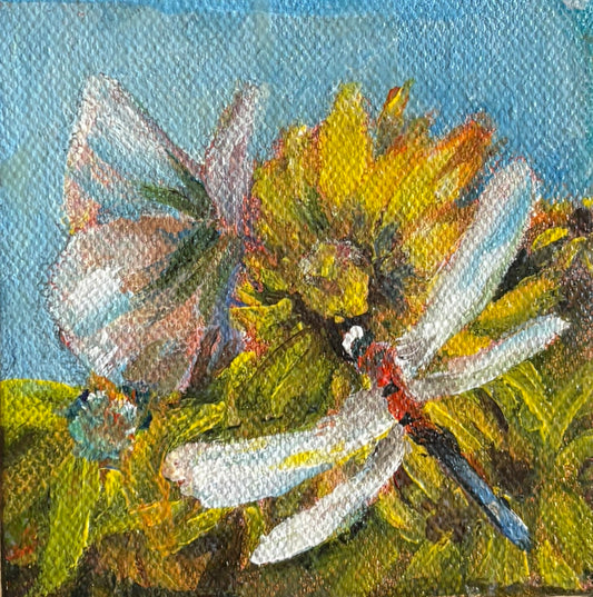 Helen Buck- Sunflower Bugs