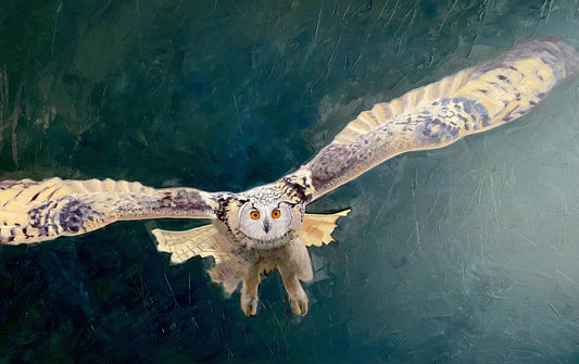 Heidi Shreiner-Owl Be Seeing You