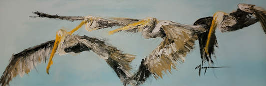 Terry Meyer-Pelicans Flying