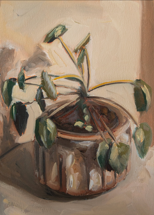 Dustin Frederick- Pilea Pepermiodies
