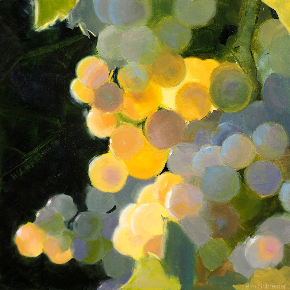 Heidi Schreiner - Grapes