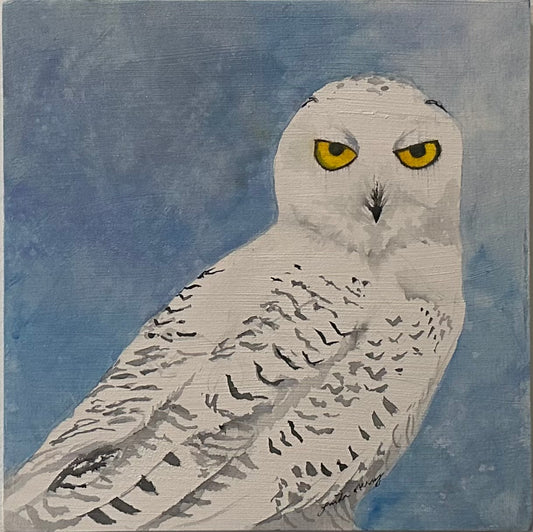 Lindamerry Udell - Hoot