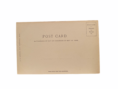 Summertime - East Northfield Massachusetts Unused Postcard Circa 1901-1907