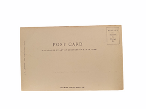Summertime - East Northfield Massachusetts Unused Postcard Circa 1901-1907