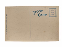 Load image into Gallery viewer, Zoo, John Ball Park, Grand Rapids Michigan. Unused Postcard Circa 1915-1930