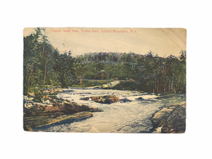 Copper Head Rock, Austin Glen, Catskills Mountains, N.Y. Postcard Sent July 9 1909 to Hoboken NJ