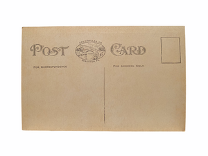 Curtain Cascade, Watkins Glen New York. Unused Postcard Circa 1915-1930