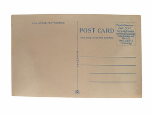 Durand Eastman Park, Rochester New York. Unused Postcard Circa 1915-1930