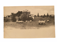 Load image into Gallery viewer, Summertime - East Northfield Massachusetts Unused Postcard Circa 1901-1907